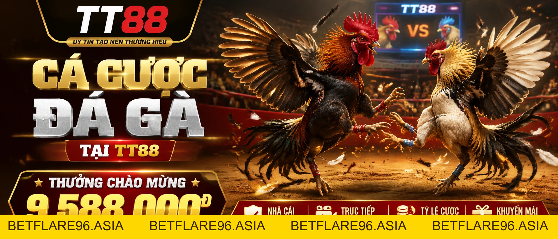 Daga Trực Tuyến: Xem Đá Gà Hôm Nay | TT88