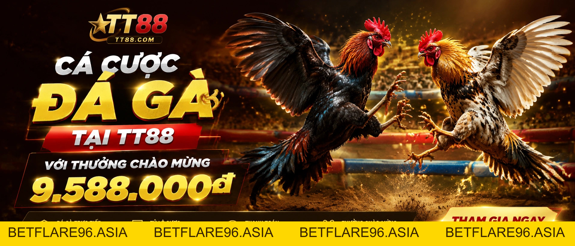 Daga Trực Tuyến: Xem Đá Gà Hôm Nay | TT88