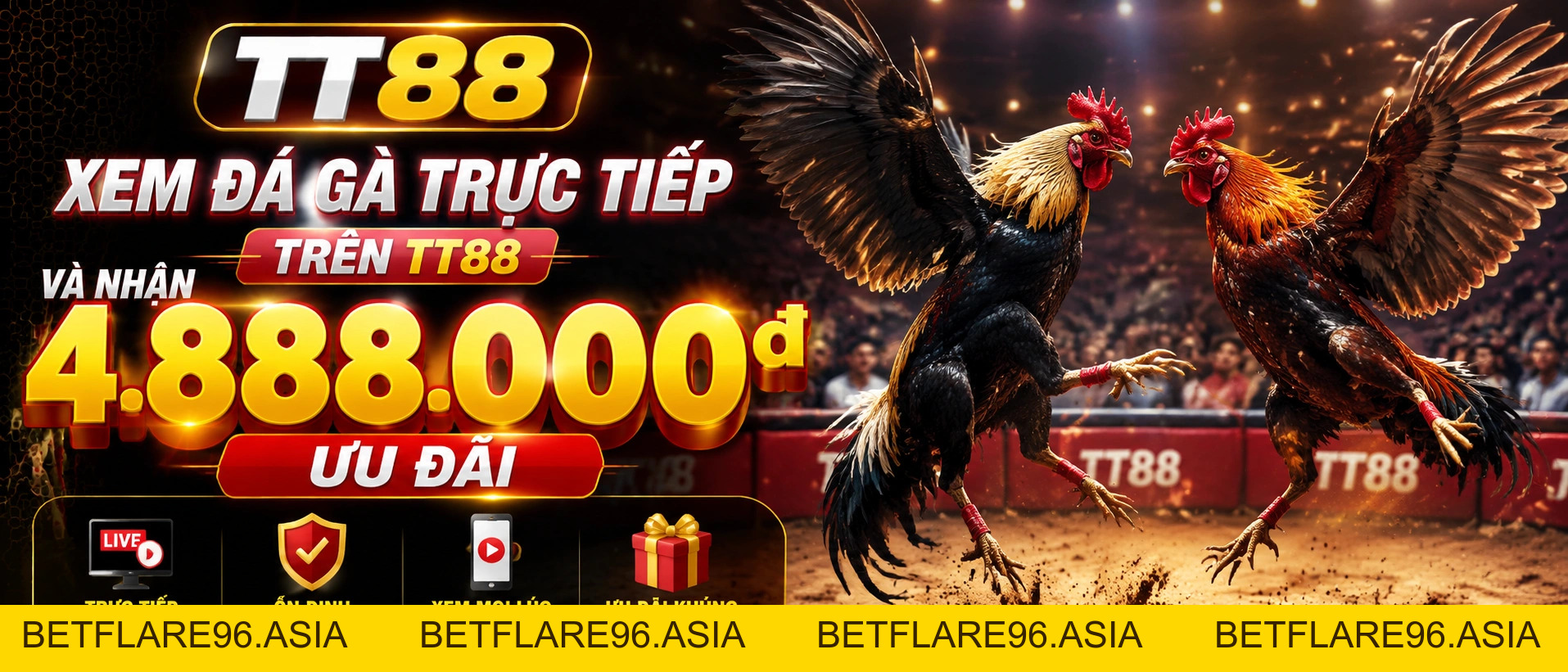 Daga Trực Tuyến: Xem Đá Gà Hôm Nay | TT88