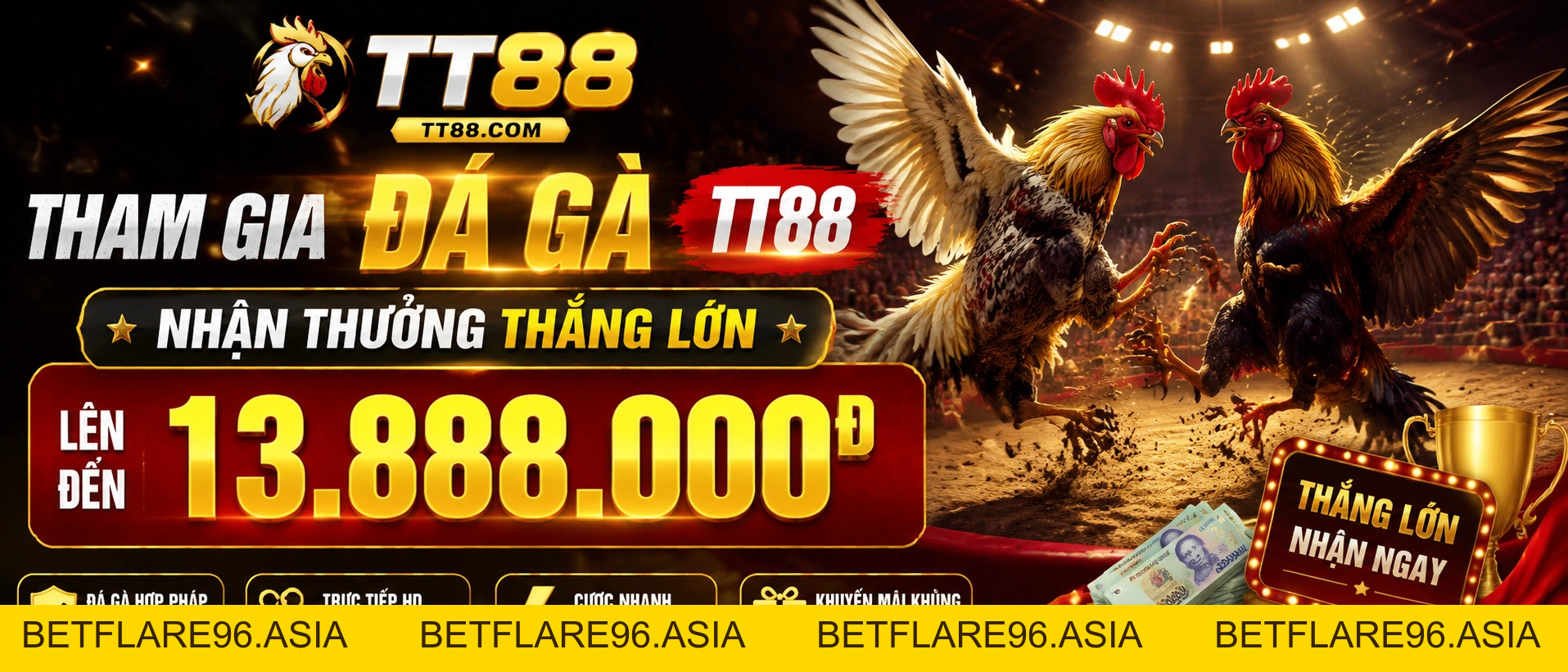 Daga Trực Tuyến: Xem Đá Gà Hôm Nay | TT88